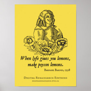 Affiche Conseil d'âge de S (t)