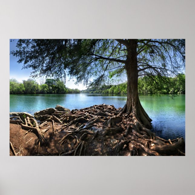 Affiche Conseil de RedBud Isle sur LadyBird Lake - Austin  (Devant)