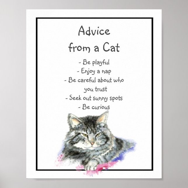 Affiche Conseil d'un Humour animal amusant de chats (Devant)