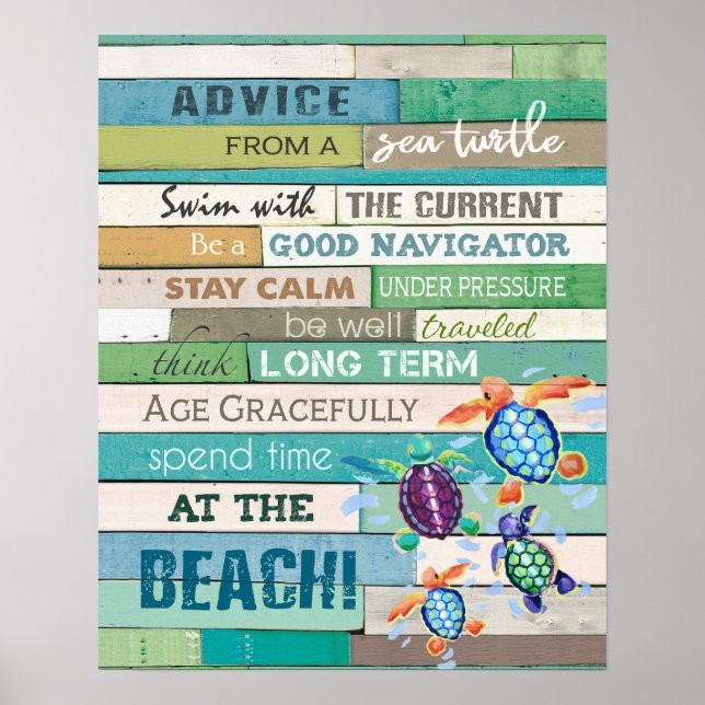 Affiche Conseil Tortues De La Mer Tortue Costal (Devant)