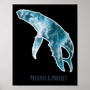 Affiche Conservation de la nature Baleine Protection De l'