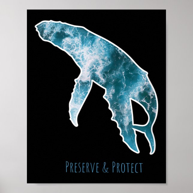 Affiche Conservation de la nature Baleine Protection De l' (Devant)
