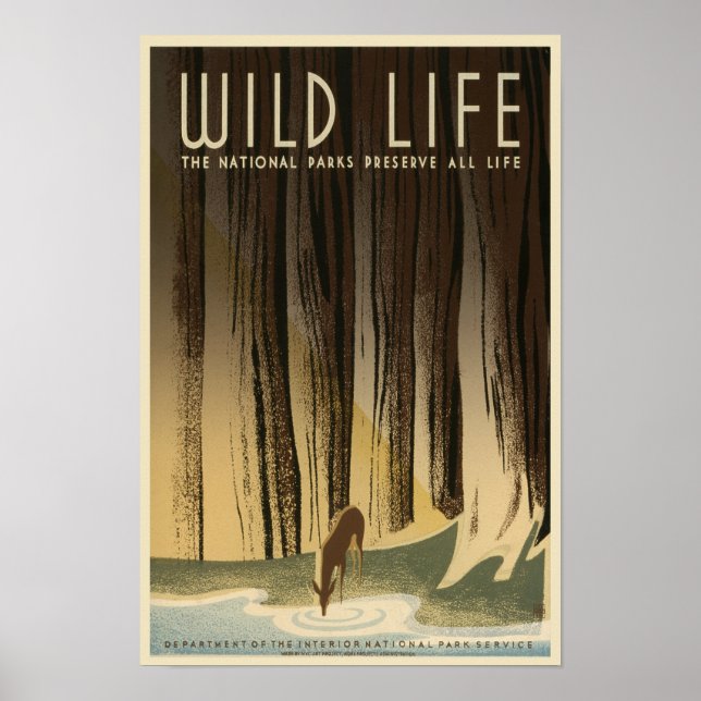 Affiche Conservation de la vie sauvage - National Park Ser (Devant)