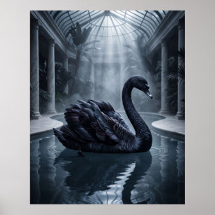 Affiche Conservatoire Velvet Swan