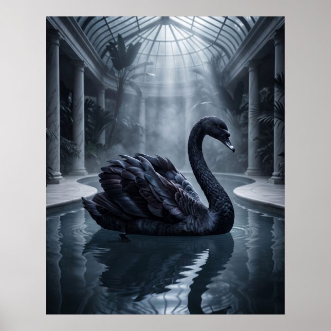 Affiche Conservatoire Velvet Swan (Devant)