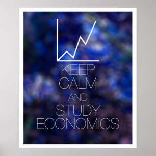 Affiche Conserver le calme et étudier l'économie