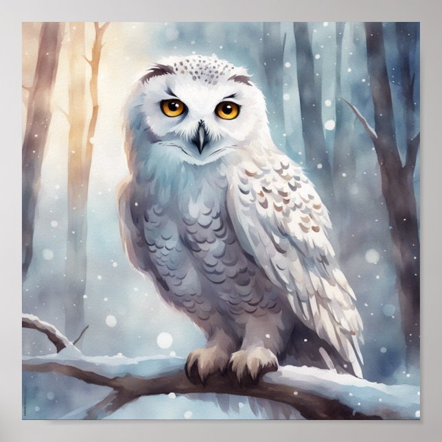 Affiche Conserver ou concevoir votre propre (Devant)