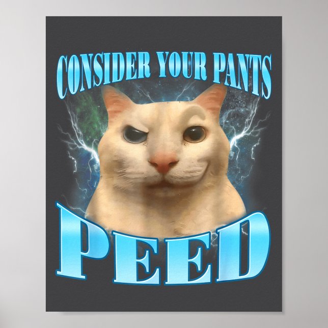Affiche Consider Your Pants Peed Funny Freak Cat Meme Humo (Devant)