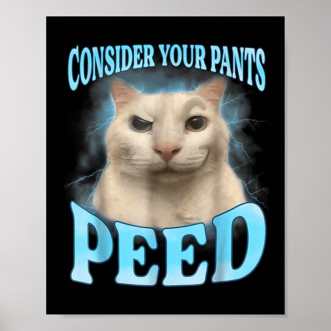 Affiche Considérez vos pantalons Peed Funny Freak Chat Mèm (Devant)