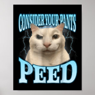 Affiche Considérez Votre Pantalon a Pissé Drôle Freak Cat 