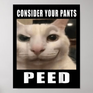 Affiche Considérez Votre Pantalon Peed Silly Chat Mème Hom