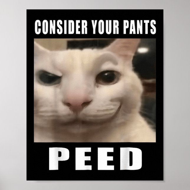 Affiche Considérez Votre Pantalon Peed Silly Chat Mème Hom (Devant)