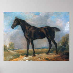 Affiche Constable - Golding's Black Riding-Horse