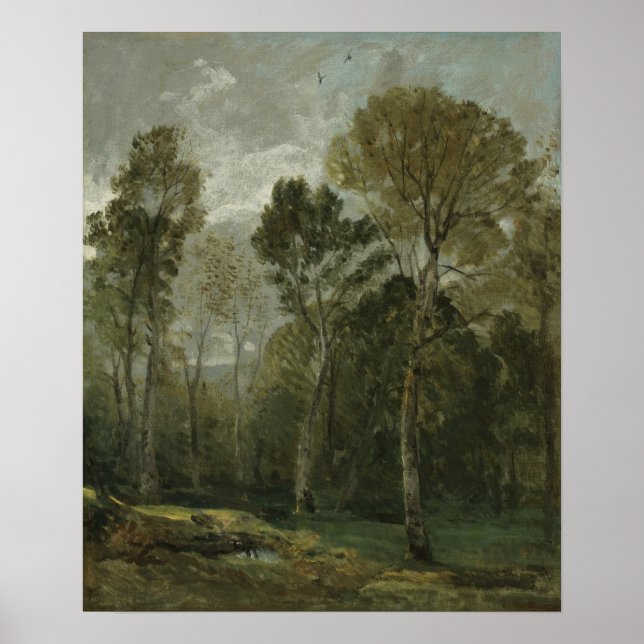 Affiche Constable - Vue d'un taillis (Devant)