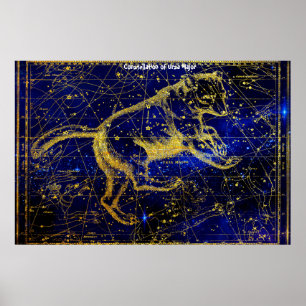 Affiche Constellation de la Grande Ourse