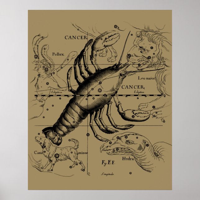 Affiche Constellation du zodiaque Cancer par Hevelius 1690 (Devant)