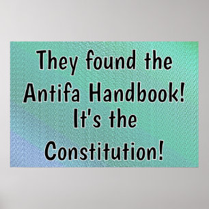 Affiche Constitution Le Manuel Antifa