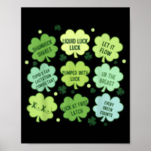 Affiche Consultant en allaitement maternel St Patrick