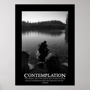 Affiche Contemplation