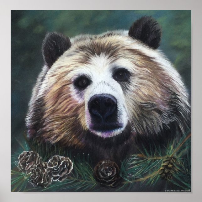 Affiche Contempler l'affiche de l'ours (Devant)