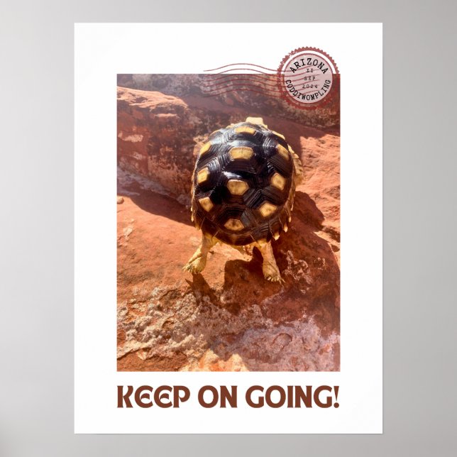 Affiche Continuez à faire l'agitation Baby Sulcata randonn (Devant)