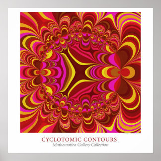 Affiche Contours Cyclotomiques