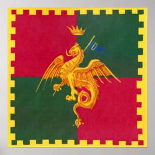 Affiche Contrada del Drago (Dragon) Palio di Sienne