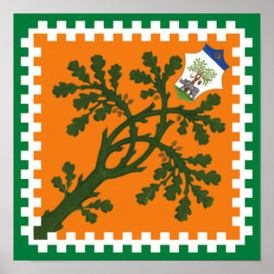 Affiche Contrada della Selva (Forêt) Palio di Siena