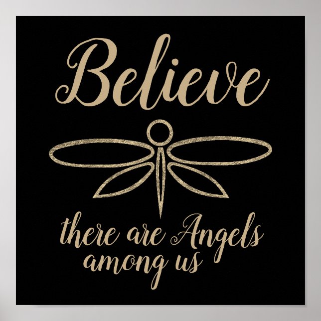 Affiche Convaincre la libellule (Devant)