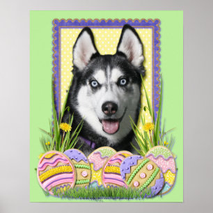 Affiche Cookies d'oeufs de Pâques - Sibérie Husky