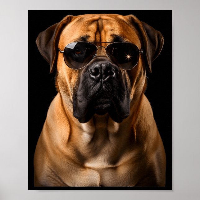 Affiche Cool Dog Sungles Bullmastiff Funny Look  (Devant)