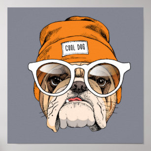 Affiche Cool Hipster Bulldog