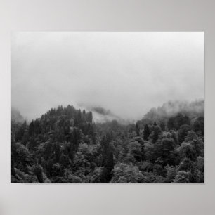 Affiche Cool, nature brumeuse magique