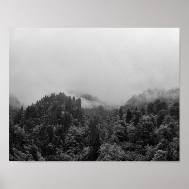 Affiche Cool, nature brumeuse magique (Devant)
