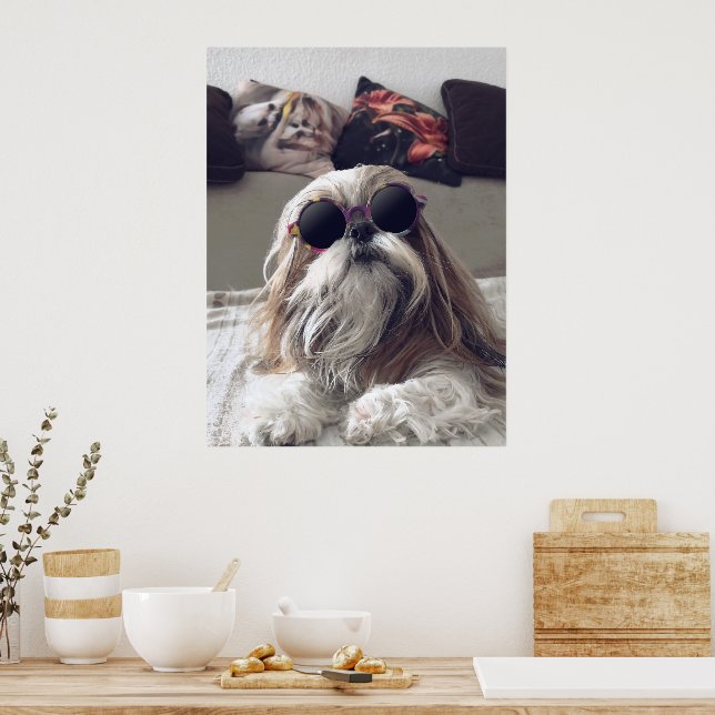 Affiche Cool Shih Tzu cheveux longs Lunettes de soleil vin (Cuisine)