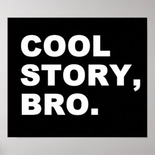 Affiche Cool Story Bro