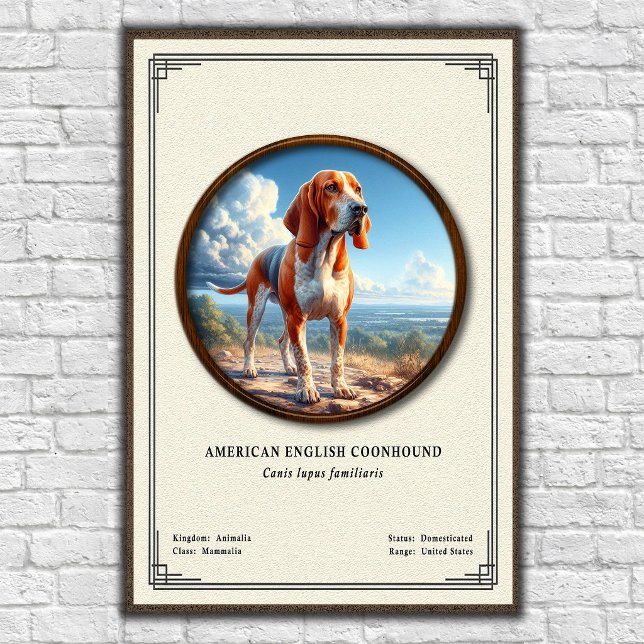 Affiche Coonhound américain Série de zoologie (Créateur téléchargé)