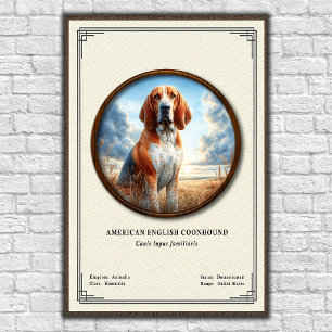 Affiche Coonhound américain Série de zoologie