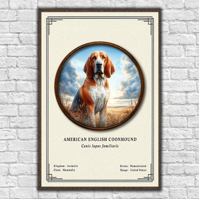 Affiche Coonhound américain Série de zoologie (Créateur téléchargé)