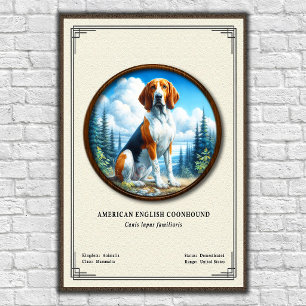 Affiche Coonhound américain Série de zoologie