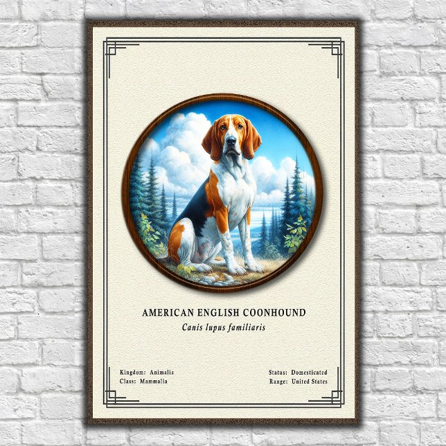 Affiche Coonhound américain Série de zoologie (Créateur téléchargé)