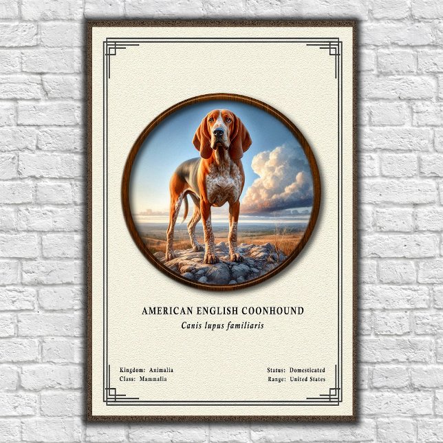 Affiche Coonhound américain Série de zoologie (Créateur téléchargé)