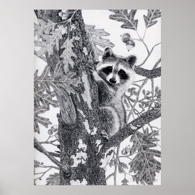 Affiche Coonie (Devant)