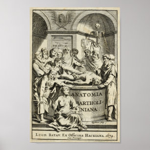 Affiche Copie 1686 d'éducation d'anatomie de cru
