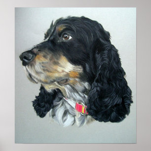 Affiche Copie anglaise d'affiche de chien de cocker