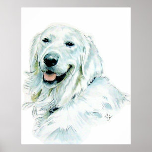 Affiche Copie anglaise de golden retriever