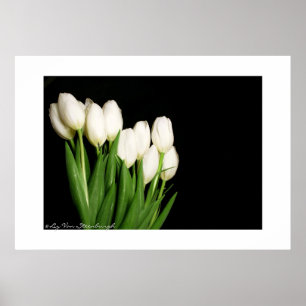 Affiche Copie blanche de tulipes