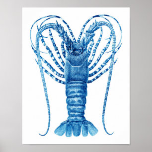 Affiche Copie bleue no.8 de homard de cuisine de décor