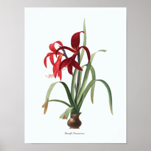 Affiche Copie botanique d'art d'illustration florale