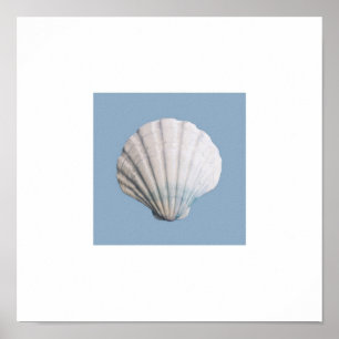 Affiche Copie d'art de coquillage